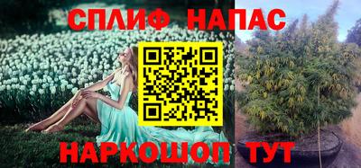 ешки Бийск
