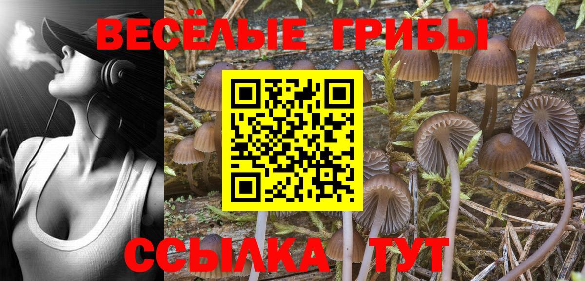 Псилоцибиновые грибы MAGIC MUSHROOMS Гурьевск