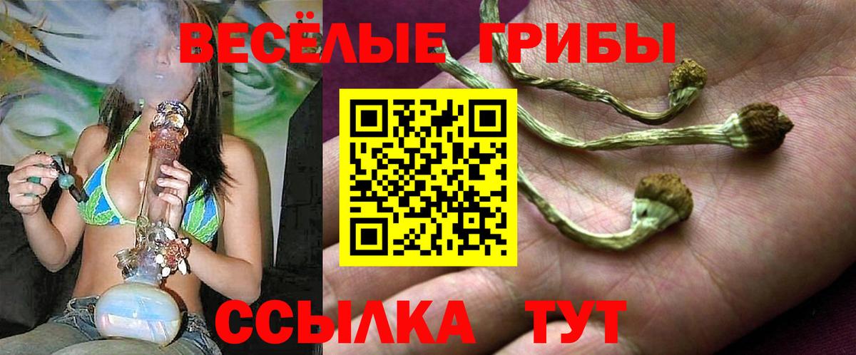 Гурьевск  Галлюциногенные грибы Psilocybe  Вход с VPN  Галлюциногенные грибы GOLDEN TEACHER 